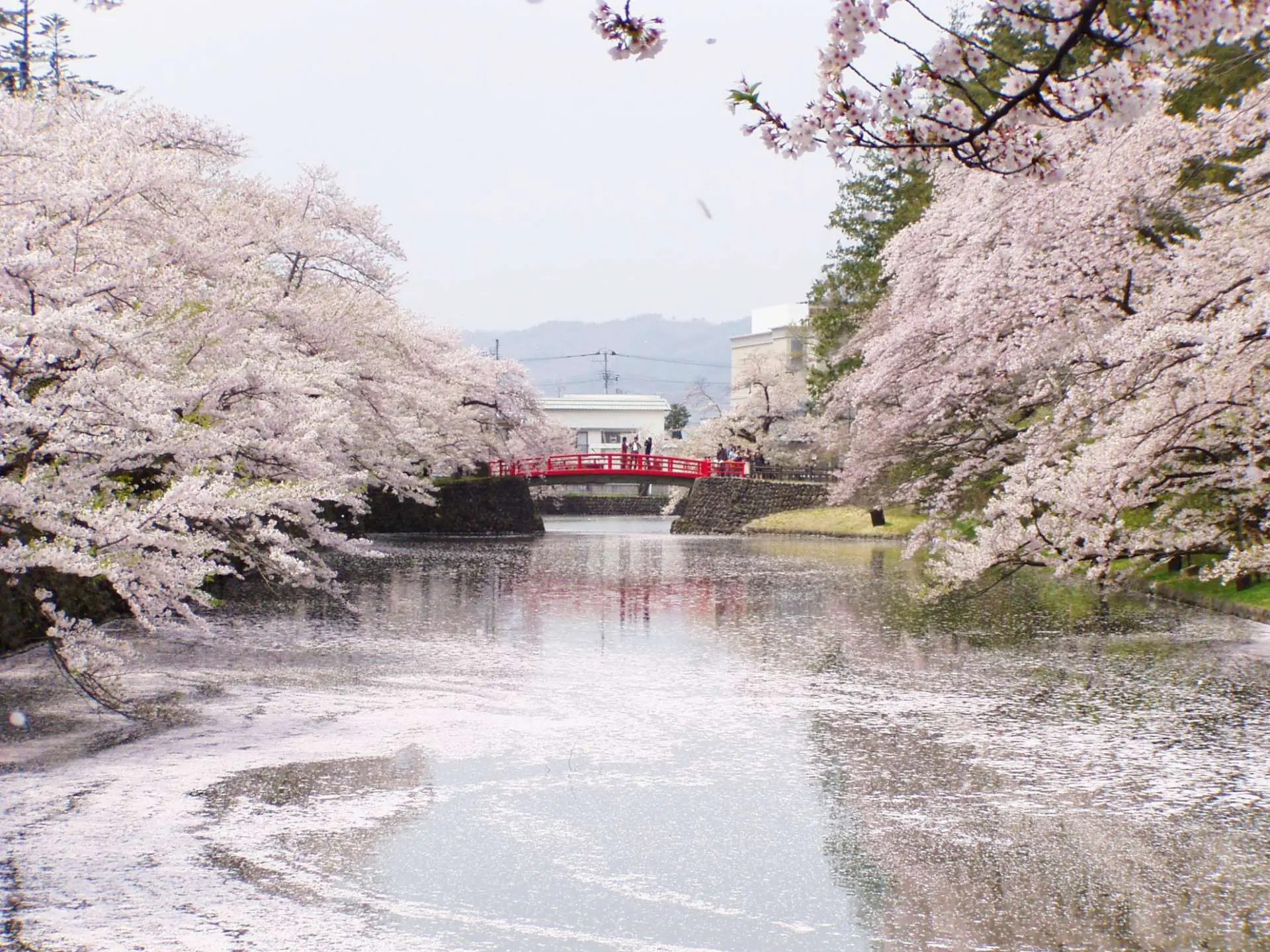 米沢の味・技・心上杉城史苑
