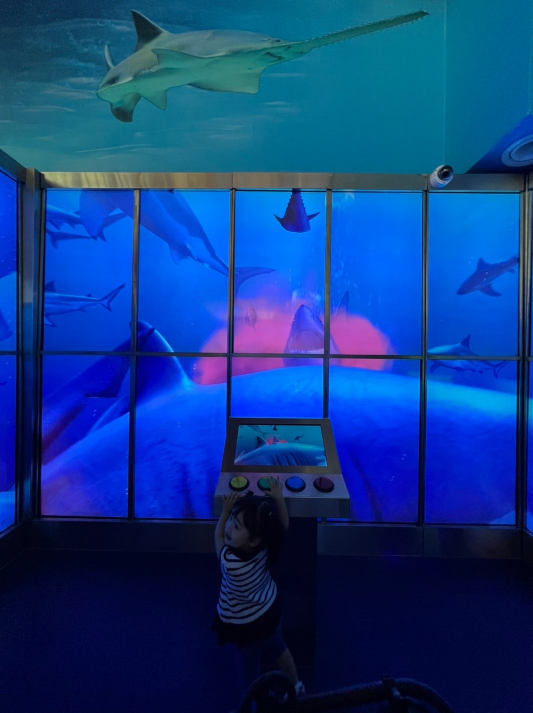 入場チケット ドバイ水族館 Dubai Aquarium