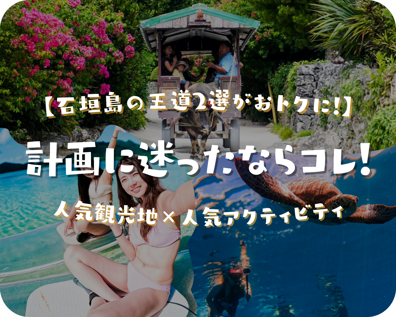 沖縄 石垣島 幻の島 浜島