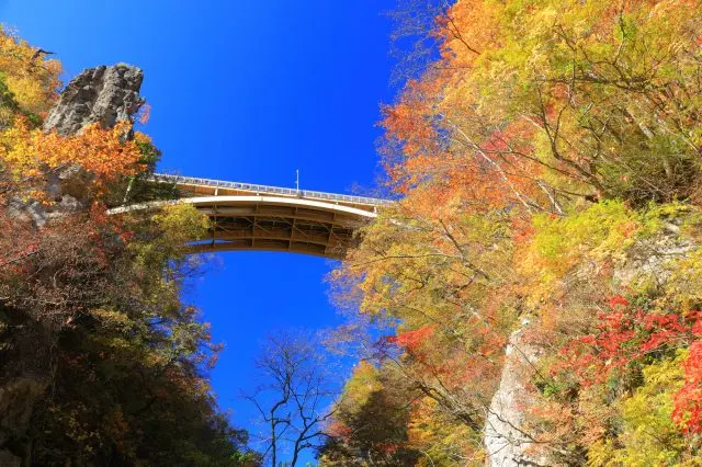 2025年 鳴子峡の紅葉はいつ？見頃時期と絶景スポットアクティビティジャパン