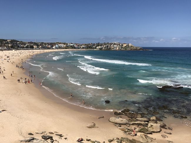 青さと透明度が違う！シドニーに来たら絶対行って欲しいおすすめのビーチ7選キナリノ