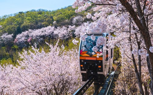 全羅南道 - Wikipedia