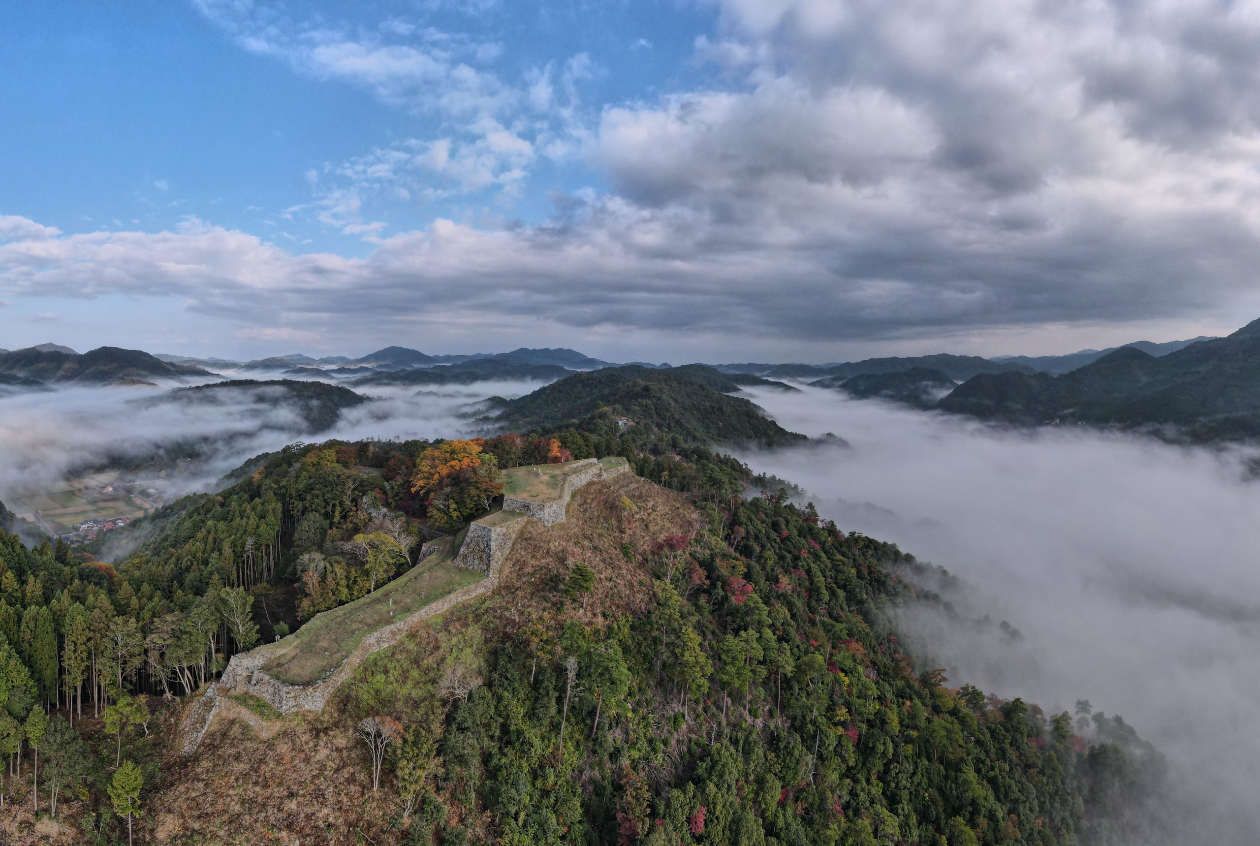 津山城 鶴山公園 の花見・桜情報 2025