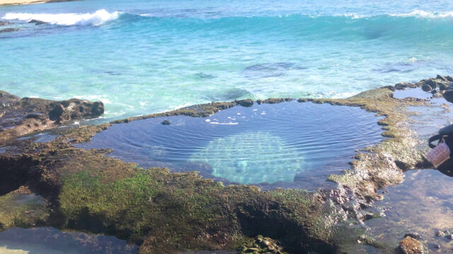 奄美大島の絶景ビーチ完全ガイド、“ウミガメに出会える”海はどこ？観光・ダイビングスポットも - ファッションプレス