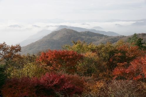 旧碓氷峠見晴台朝なら雲海もみられるかも？軽井沢の絶景スポット - 今日はどこ行こう