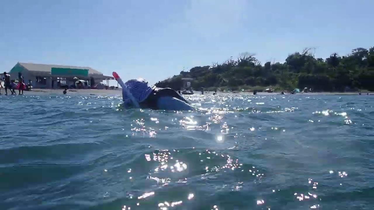 シュノーケリング 千葉県：沖ノ島海水浴場に行ってみた！人のブログ