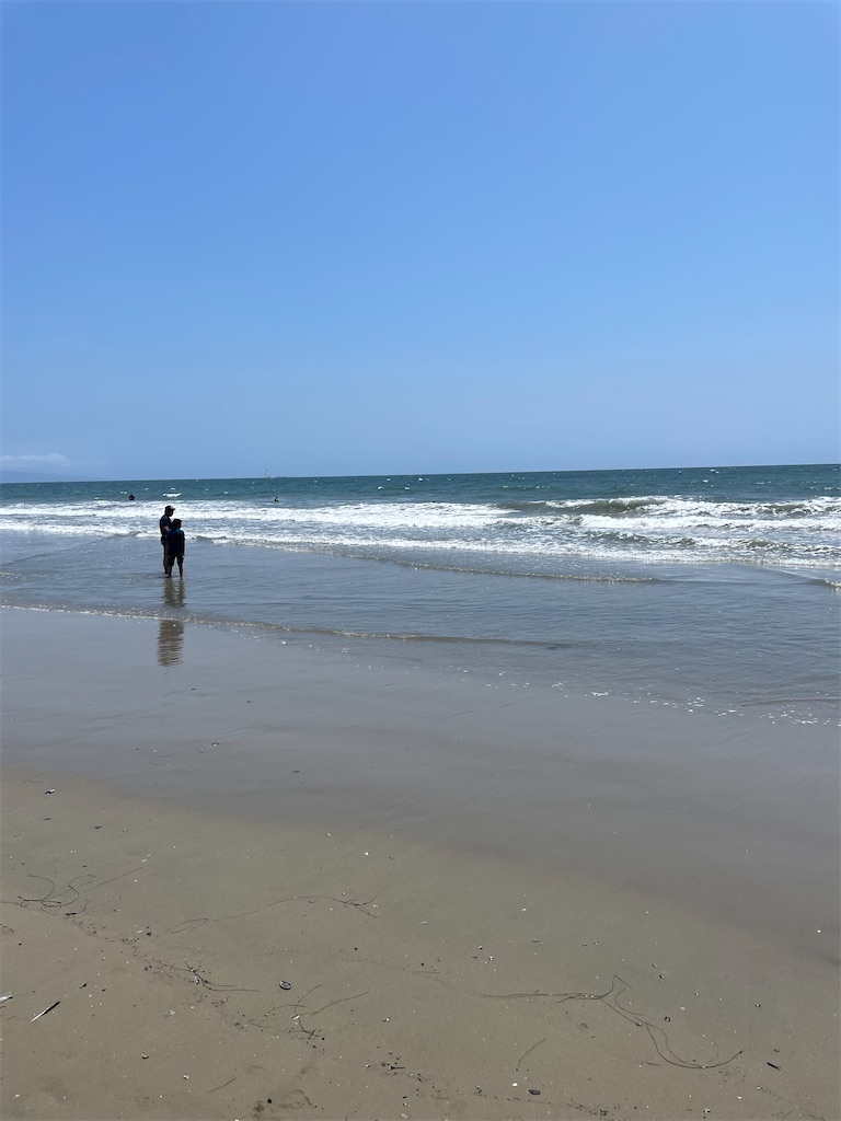 ロウズ サンタモニカ ビーチ ホテルの宿泊料金