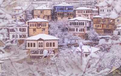 トルコバザールでトルコランプ製作ワークショップを開催します - Turkey