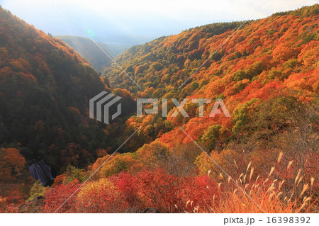 横谷観音「横谷聖観世音菩薩」 茅野市北山