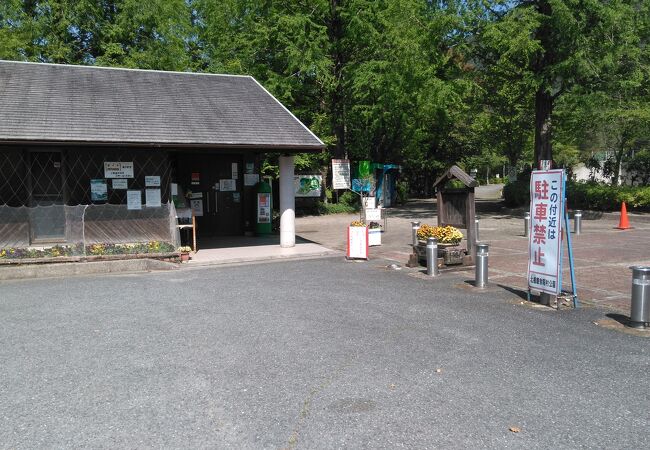 2025年最新 グアムの入国情報！審査は厳しい？渡航に必要な書類やビザの手続きを解説NEWT ニュート