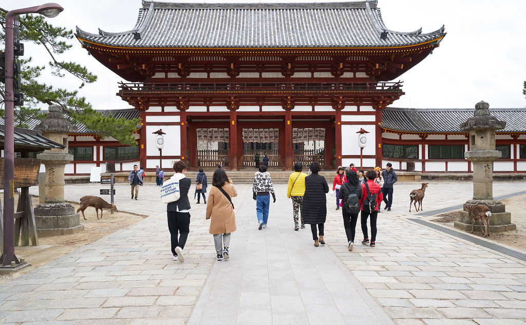 家族旅行 Day1奈良公園をのんびり散策して、鹿たちと癒しの時間🦌 また東大寺の大仏殿では、その大きさに家族みんなでびっくり！😲夜は大阪で友人家族と美味しいご飯を囲み、笑顔いっぱいのひとときを過ごし、最高の1日になりました😊