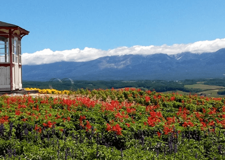インスタ映えスポット北海道知床「天まで続く道」はポートレートに最適。週末絶景カメラマンゆーの日記