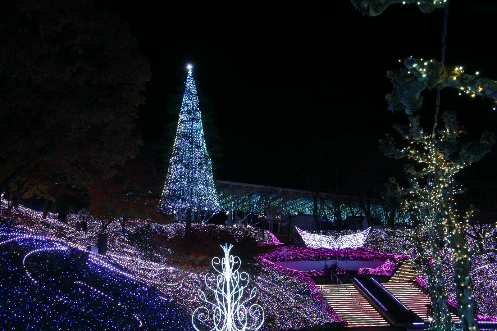 画像37＞西武園ゆうえんちのイルミと“夜スキー”の組み合わせ！ウォーカープラス