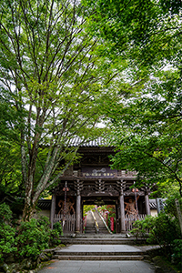 宮島の大聖院の行き方は？拝観ルートと見どころの紹介fromFukuoka フロム福岡