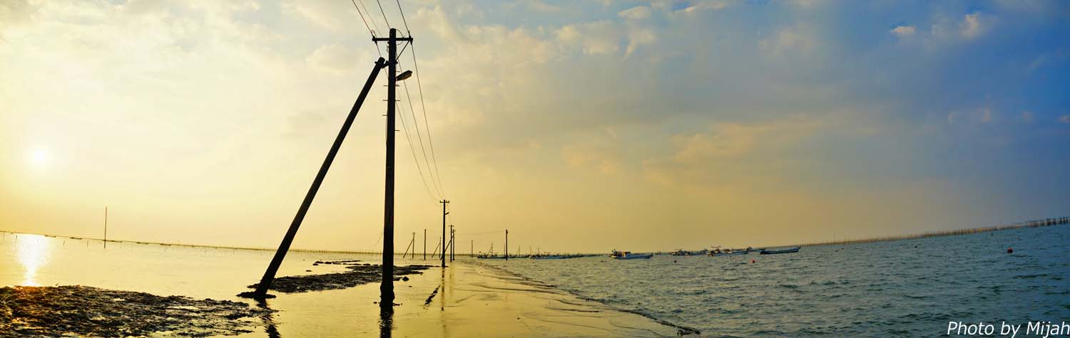 熊本・宇土 海に沈む電柱群と道？ 長部田海床路が誘う幻想世界