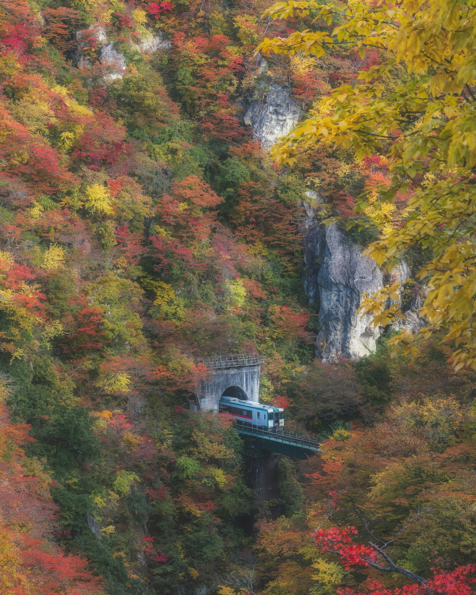 histrip_japanhistrip_miyagi 📍宮城県大崎市 鳴子峡は、車で気軽に訪れることができる宮城県随一の美しい渓谷です。その歴史は深く、松尾芭蕉が「おくのほそ道」の旅の途中で訪れた場所でもあります。藩政時代、鳴子から出羽へ抜ける峠道は軍事上重要なルートで、旅人