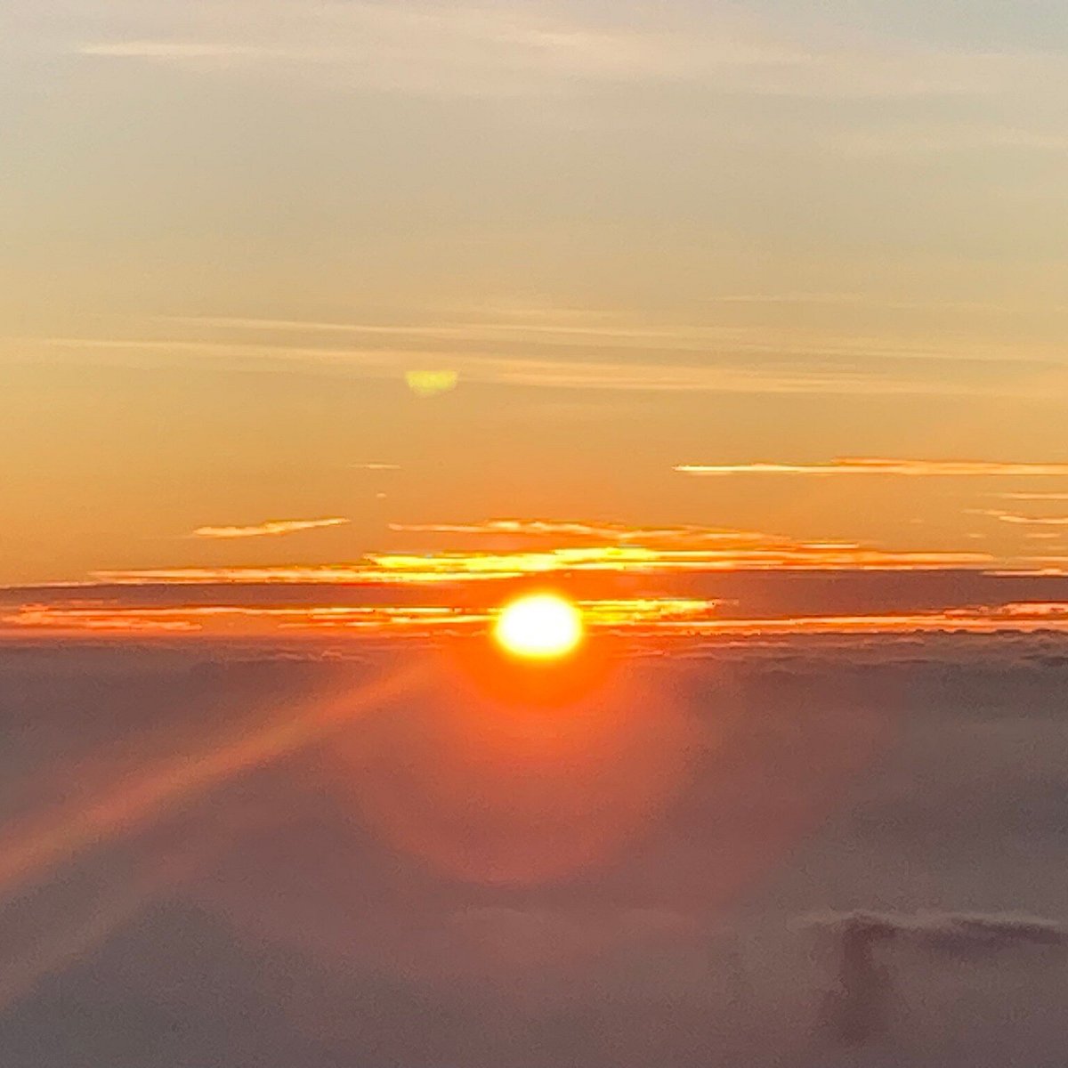 太陽館口コミ・宿泊予約- トリップアドバイザ