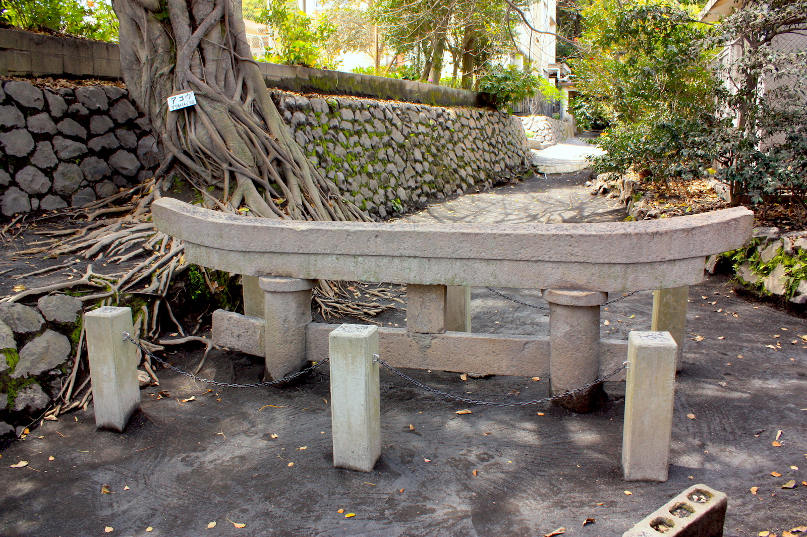 黒神埋没鳥居 - 見どころ、アクセス