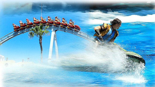 ユニバーサルスタジオジャパン ニンテンドーワールド入場券付きパス１枚 USJ ユニバーサル・スタジオ・ジャパン