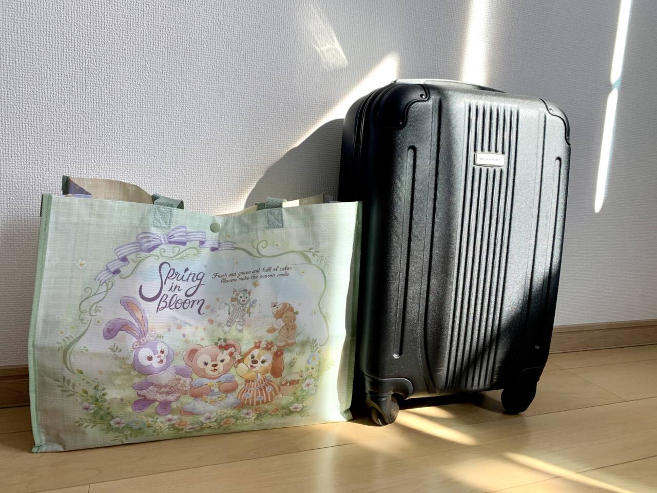 東京ディズニーリゾート ボンボヤージュ荷物を預けるohkura kohziのブログ -