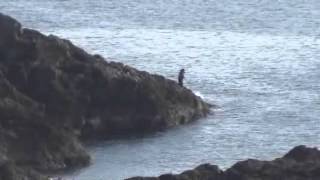 和歌山県釣り場紹介、 串本大橋トイレ下② 水中映像有り釣り場情報-和歌山の磯-穴場