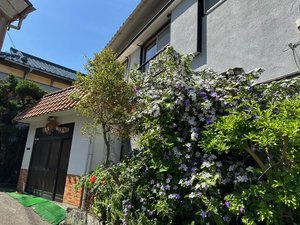 一足早い春を楽しむ、河津桜鑑賞と併せて行きたい露天・半露天風呂付客室がある伊豆の温泉宿一休コンシェルジュ