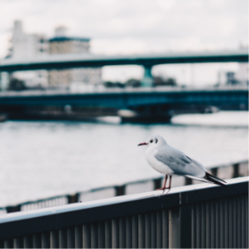 川の駅はちけんや - 商業施設サイト制作ウェブ戦略・コンサルティング UNIONNET Inc