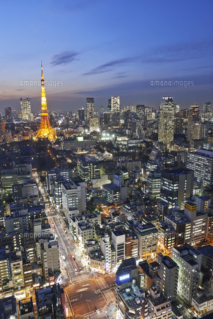 特別な日に！東京の夜景・眺望が抜群！おすすめラグジュアリーホテル厳選！Fish & Tips