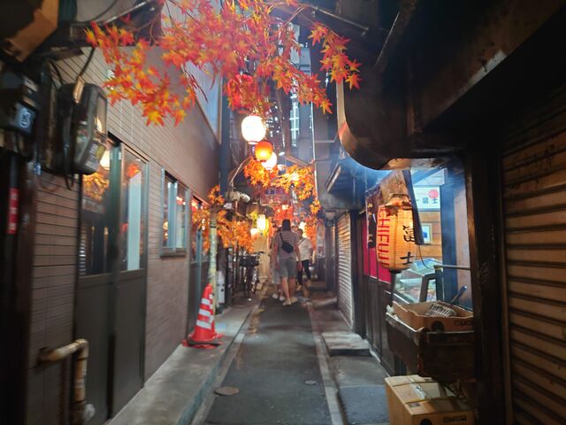 新宿西口・思い出横丁』 梅雨が明け、盛夏の飲屋街。新宿新宿西口思い出横丁総武線omoideyokochoshinjukutokyojapan夏cat路地電車のある風景街歩き風景画