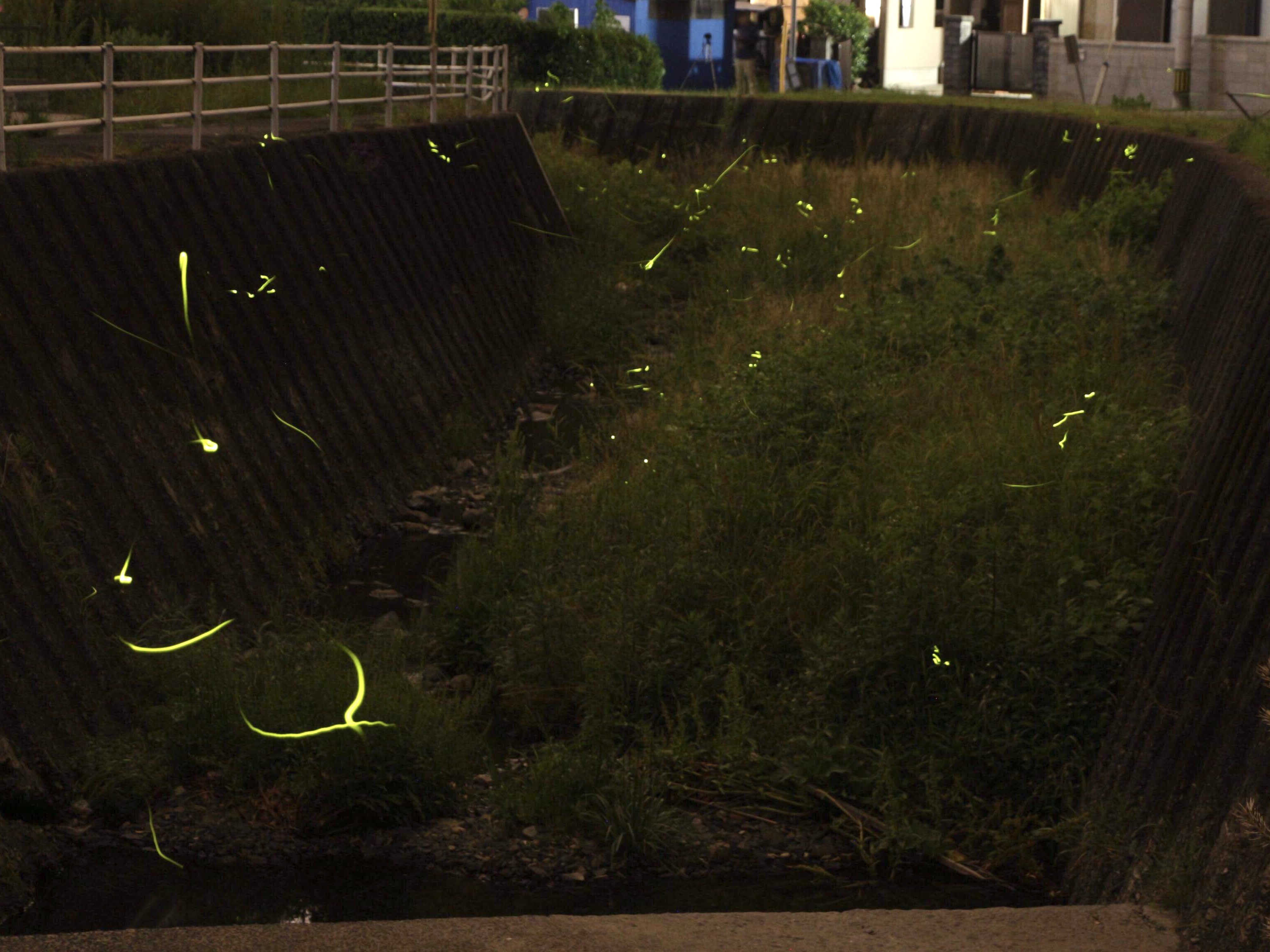 北九州市門司区 3万個のキャンドルが灯る！「関門海峡キャンドルナイト2024」に行ってきました！！号外NET 北九州市小倉北区・門司区・戸畑区