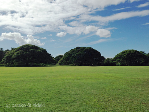 テレビCM制作の舞台裏：日立の樹オンライン