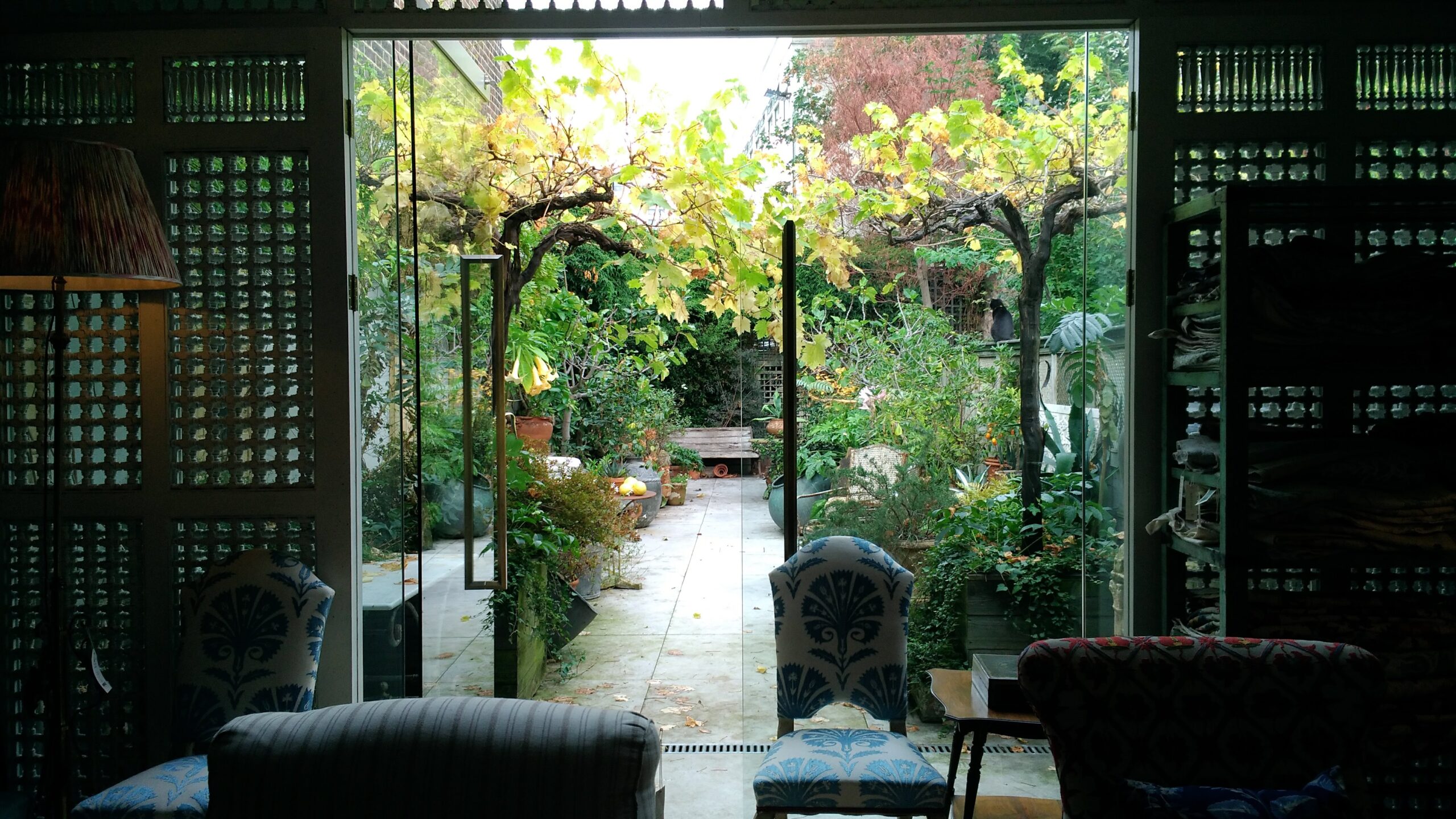 2025年 チェルシー - 出発前に知っておくべきことすべて -