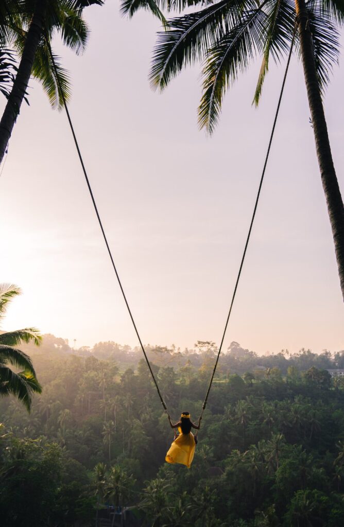 バリ島： ウブドのプライベート棚田でジップライン、ブランコ、スカイバイク