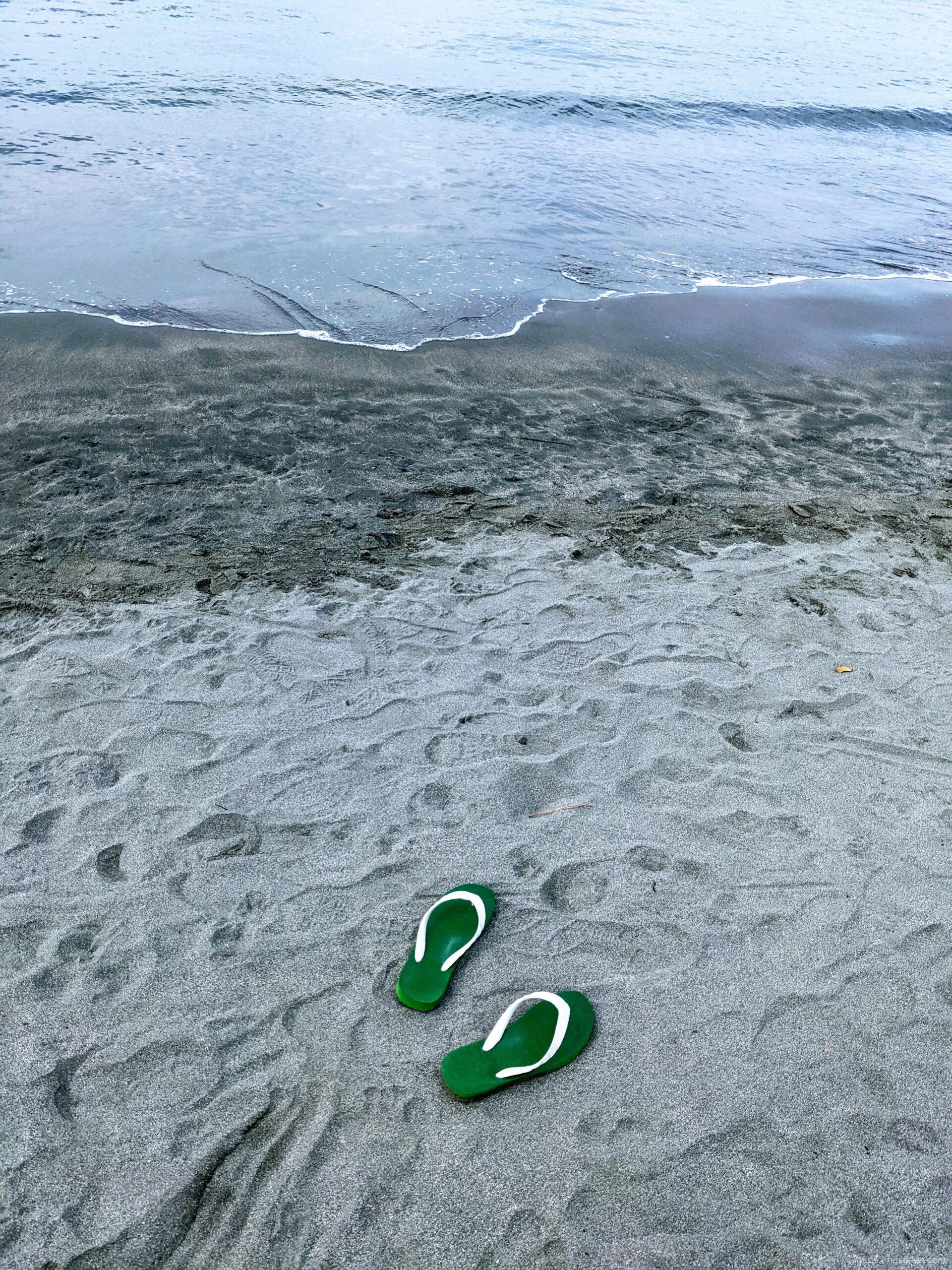 スケープス ザ スイート SCAPES