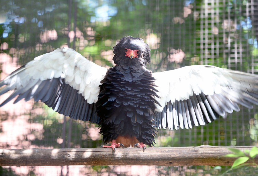 全国から28の酒蔵来る！日本酒イベント SAKE PARK