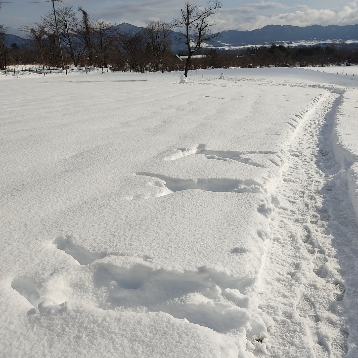 蒜山グランピング 星空リゾート HIRUZEN 岡山- リゾートグランピングドットコム