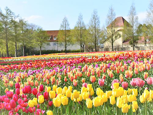 滋賀のおすすめドライブスポット10選！定番から絶景穴場スポットまで紹介なっぷ