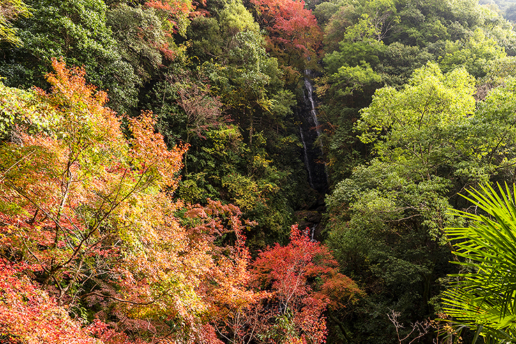 白滝公園の紅葉 アクセス・イベント情報 -