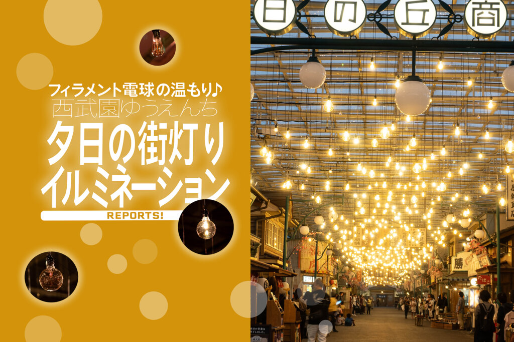 歳末レッサーパンダ詣とイルミネーションで良い年を願う ３ 西武園ゆうえんちのイルミージュは花鳥風月のファンタジーカラーの光の森』所沢 埼玉県