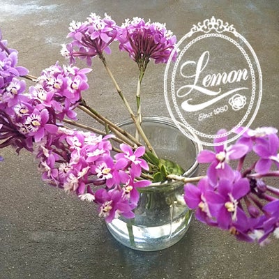 ななろくDBFallout76 攻略DBアークトス・ファーマ-生体群研究所