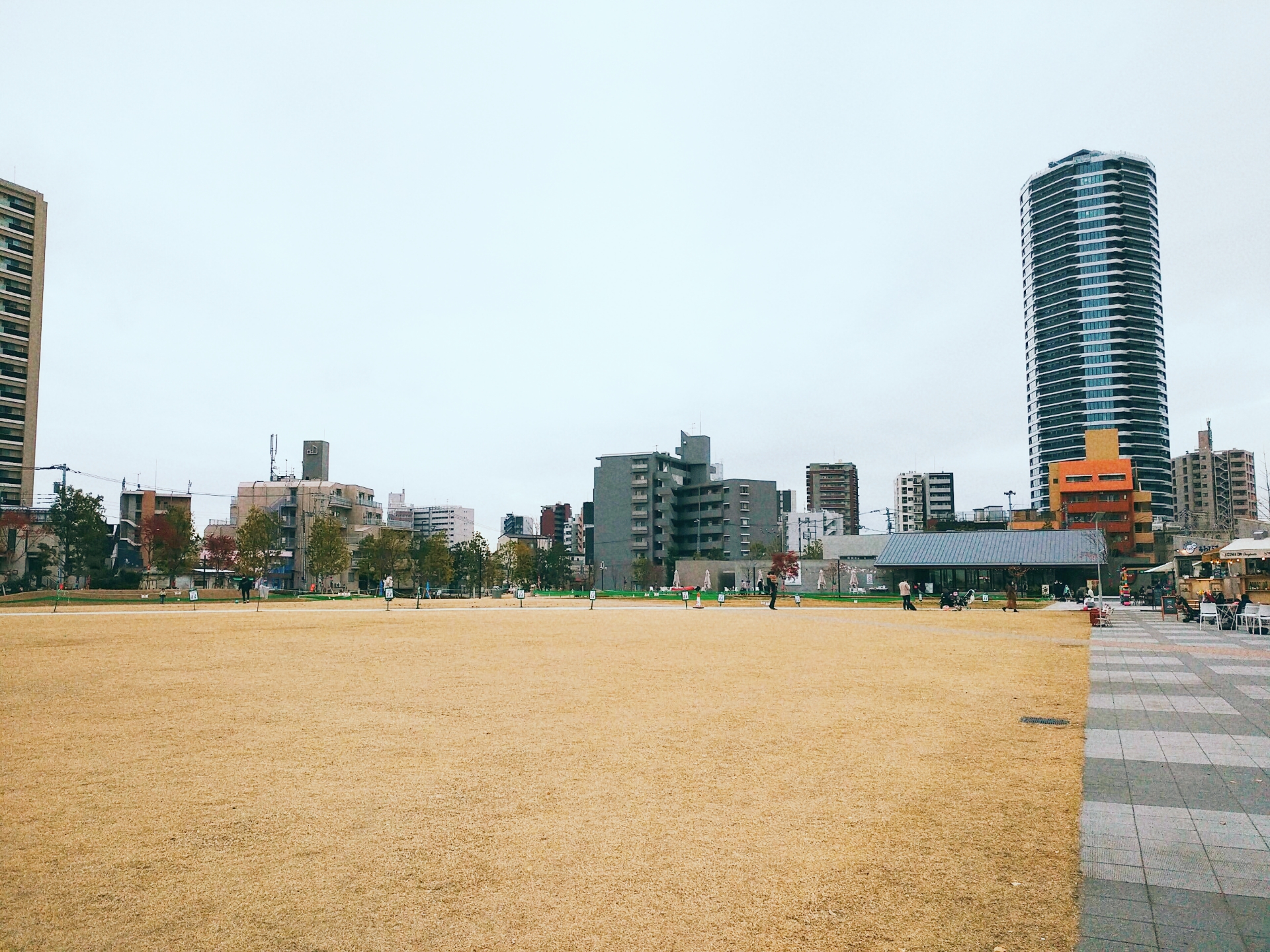 2025年 南池袋公園 - 出発前に知っておくべきことすべて -