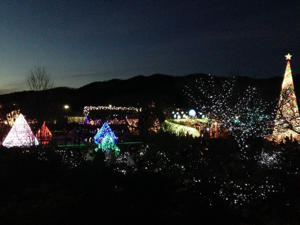 あしかがフラワーパーク日本夜景遺産