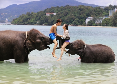 プーケット・ラッキービーチで象と水遊び体験Elephants Swims Lucky BeachTaoTaiLang Travel