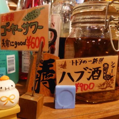 沖縄料理 いちゃりば新宿三丁目最新のレストランの口コミ 2025年-