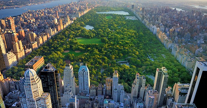 最新 セントラル・パーク -