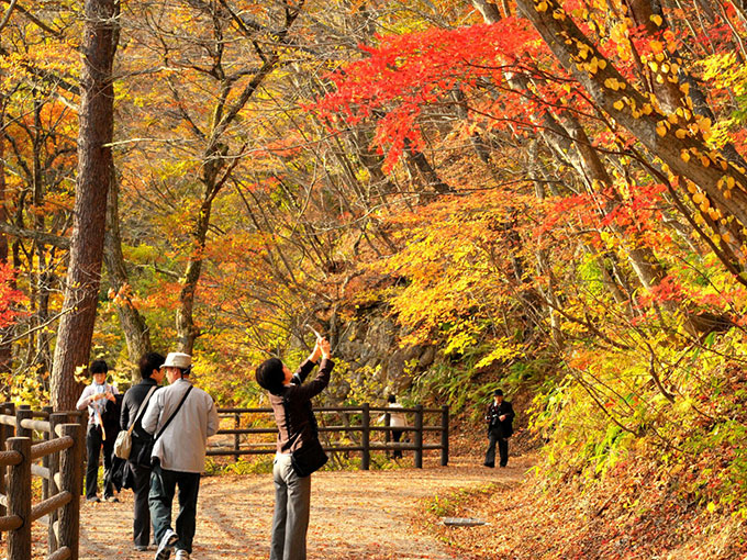 紅葉の季節は鳴子峡へ！ビュースポットや周辺の観光スポットも紹介びゅうトラベル JR東日本