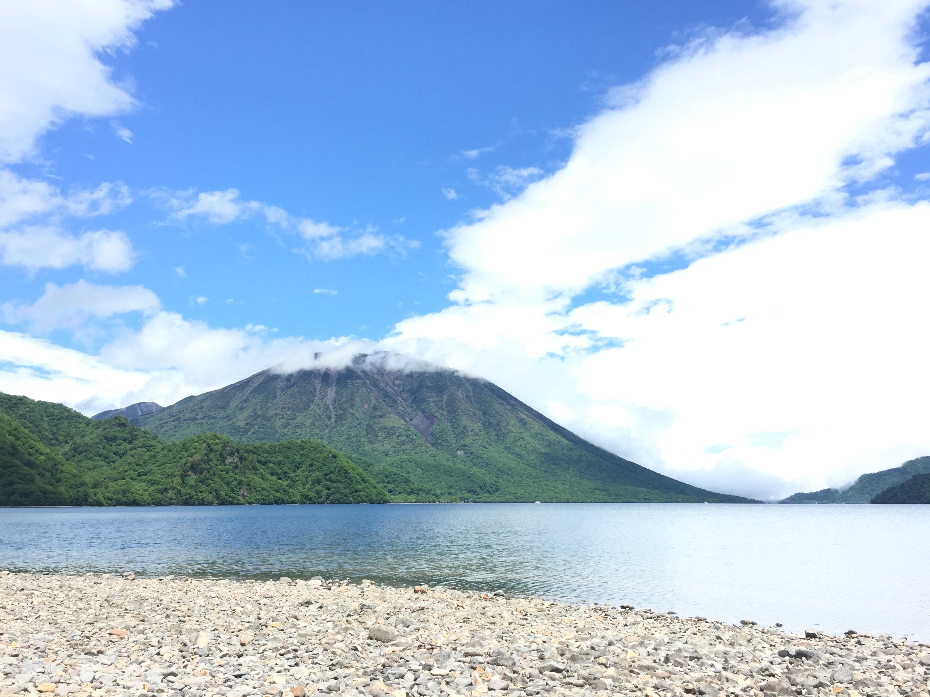 栃木県の巨木 日光中禅寺湖・千手ヶ浜のハルニレ巨木群