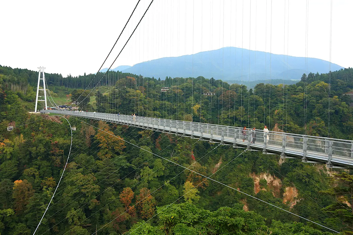 大分観光で訪れたい「九重”夢”大吊橋」の見どころとベストシーズン - 介護旅行ねっと介護付き旅行・バリアフリー観光サイト