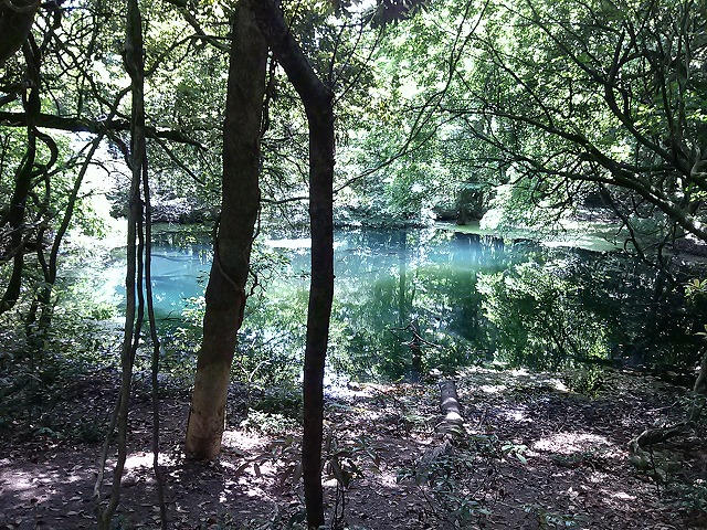 丸池様 見どころ・ベストシーズン・アクセス・駐車場 - 遊佐・鳥海山の湧水池