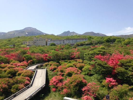 那須のフォトジェニックな観光スポット11選！スマホの充電をお忘れなく！RETRIP リトリップ